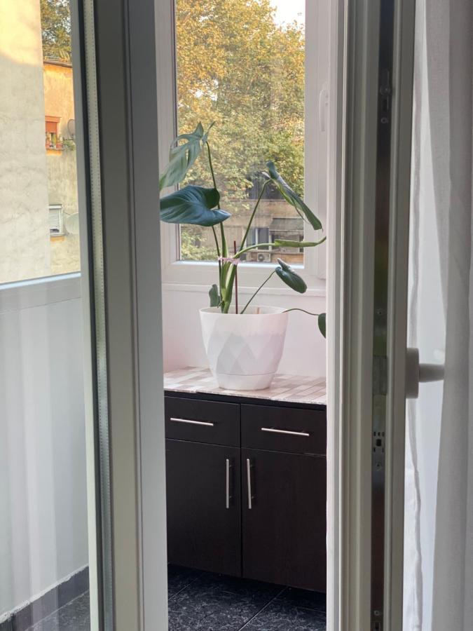 Central Welcoming Apartment In Tirana Esterno foto